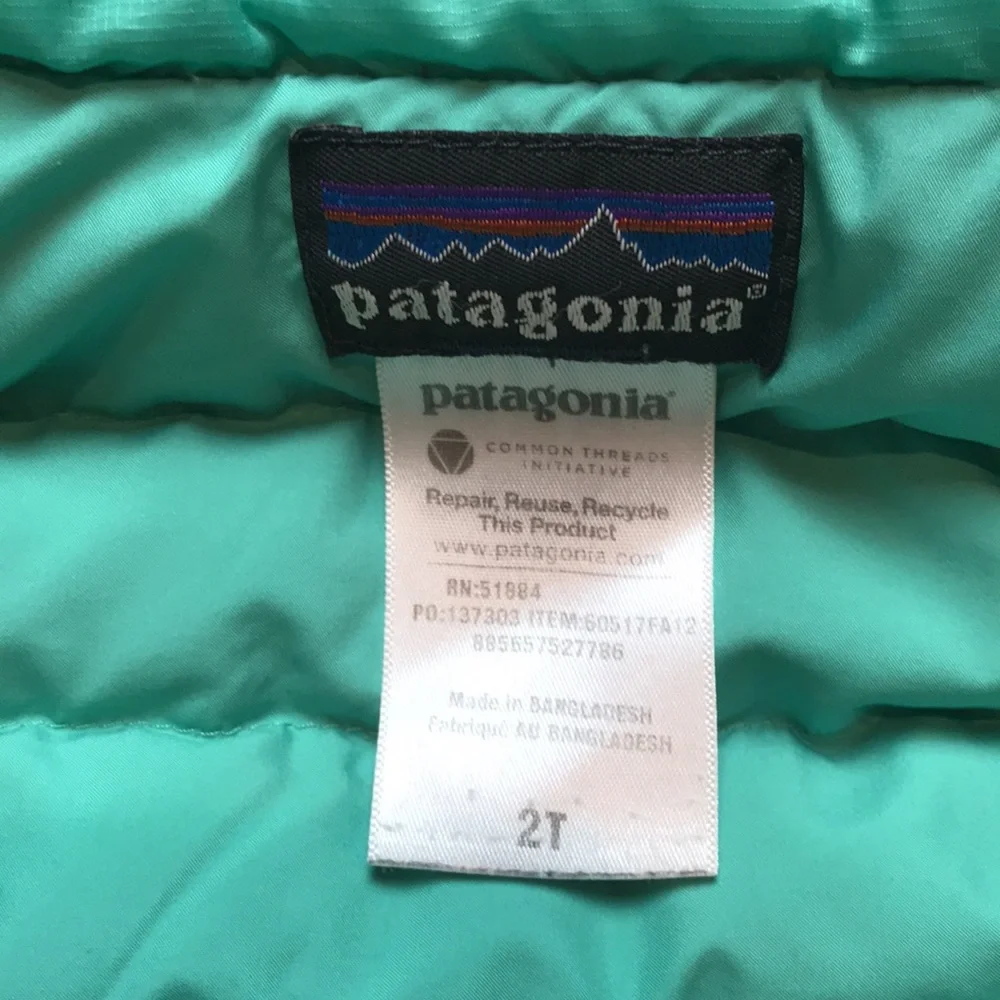 Patagonia Puffer Jacket (size 2T)